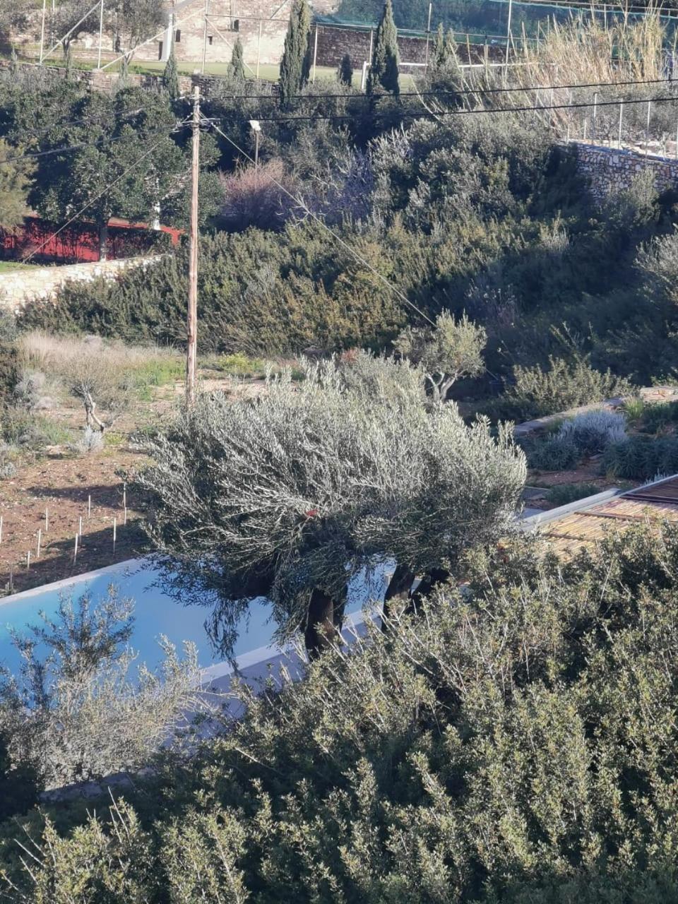 Olithos Villas Krotiri المظهر الخارجي الصورة
